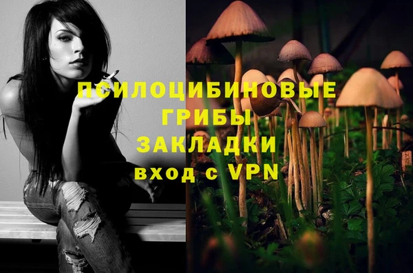 МДМА Верхний Тагил