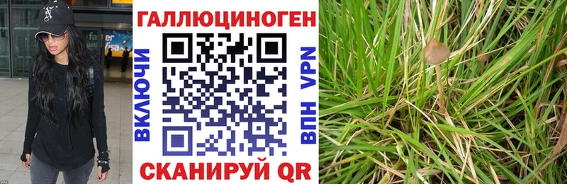 Псилоцибиновые грибы Magic Shrooms  где можно купить наркотик  Горбатов 